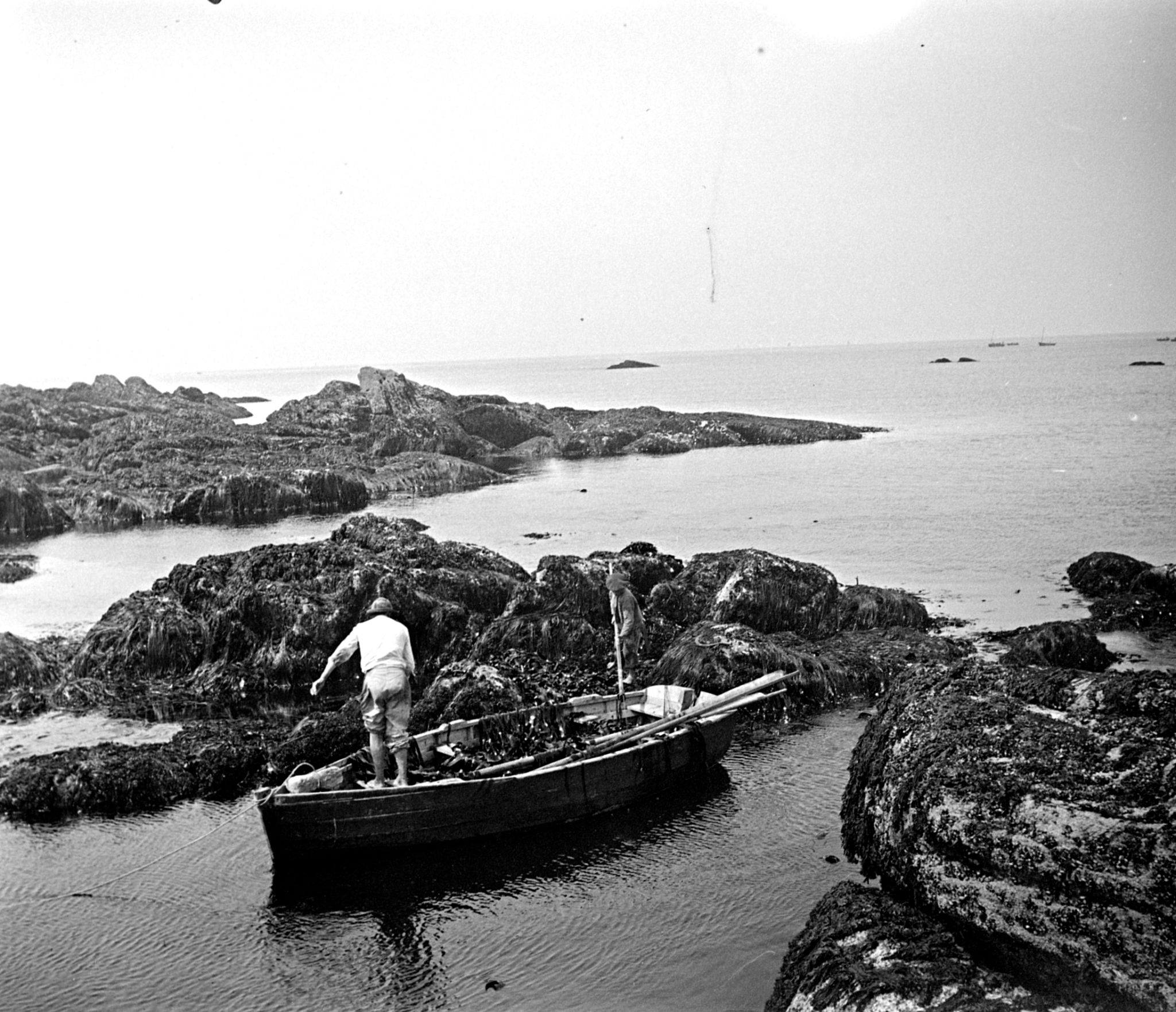 FRAD029 1NUM1 01258 (2)